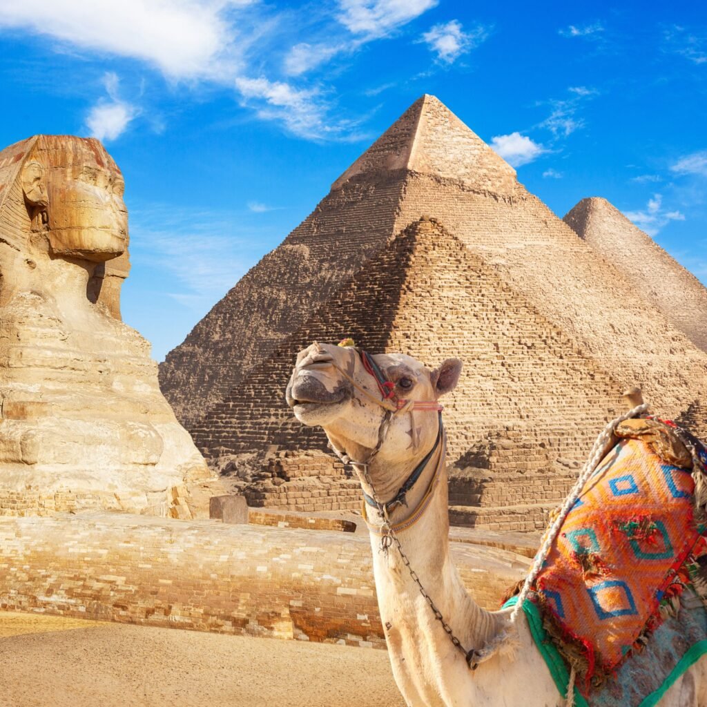 Cairo Sic Tours