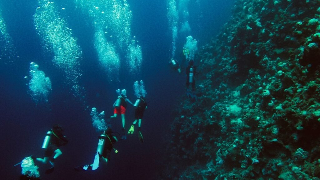Diving, courses, sharmers tours, sharm El Sheikh (21)