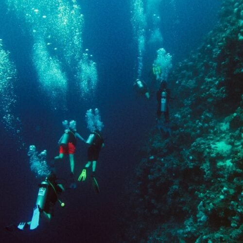 PADI Open Water Diver Course – Sharm El Sheikh
