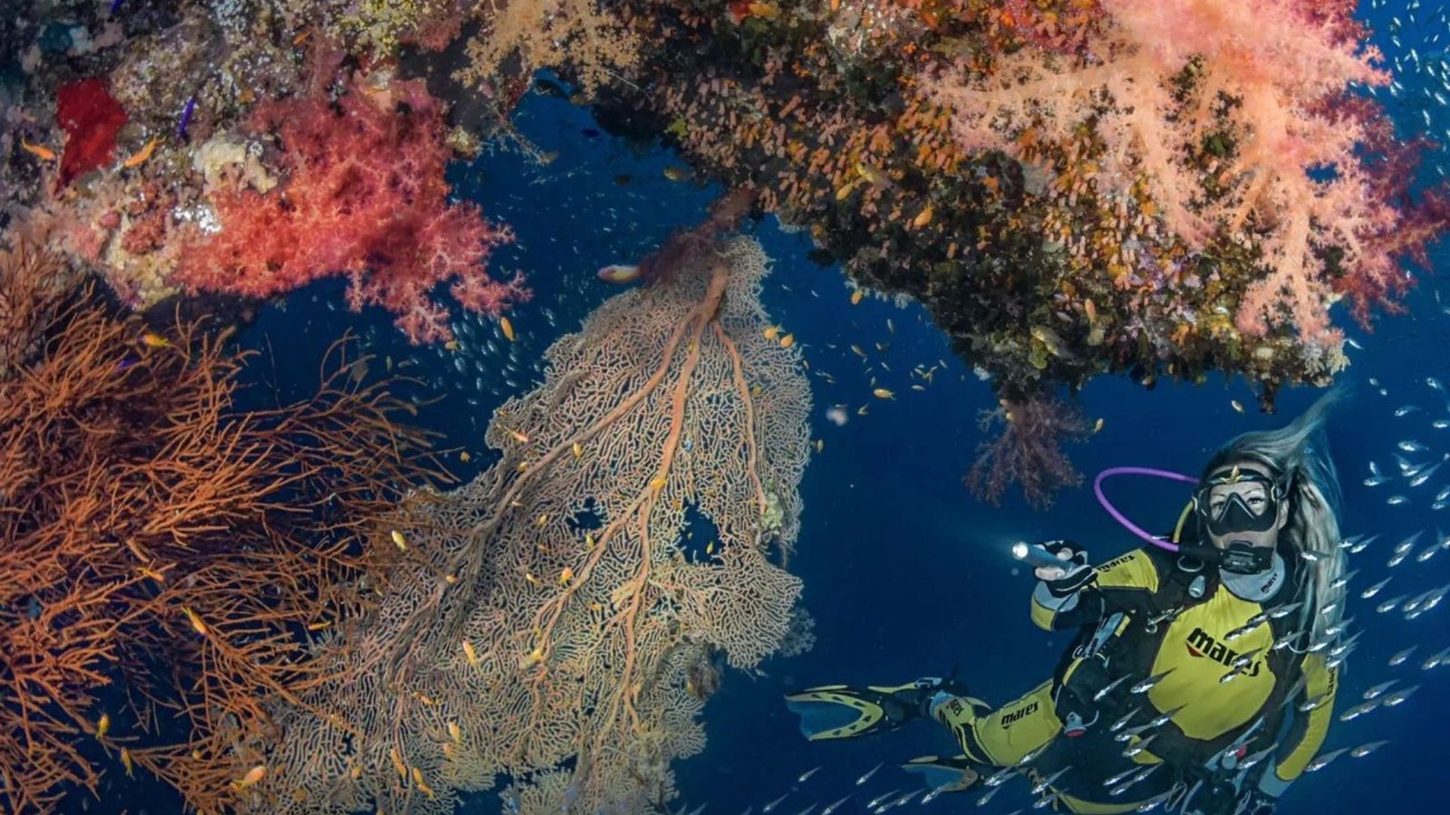 Diving, courses, sharmers tours, sharm El Sheikh (38)