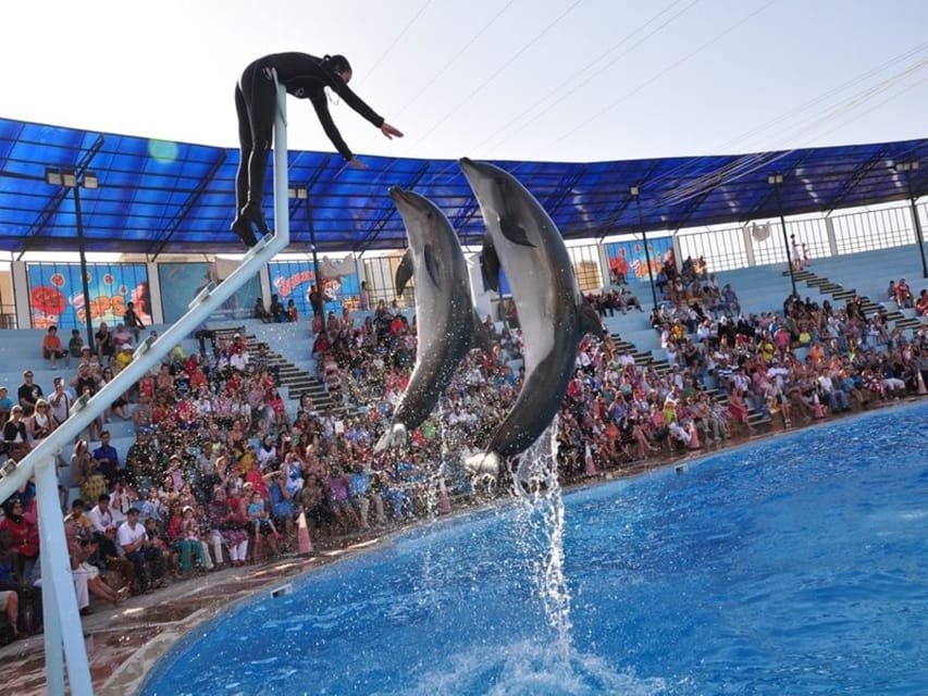 Dolphine show in sharm el sheikh , SIC tours (7)