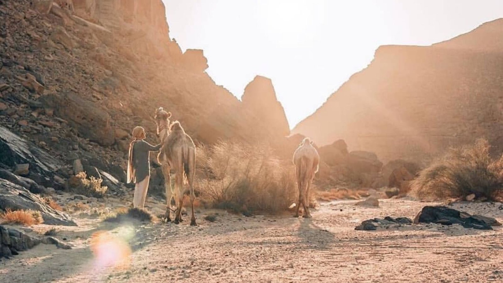 Quad Bike Safari Desert Sharmers tours (3)