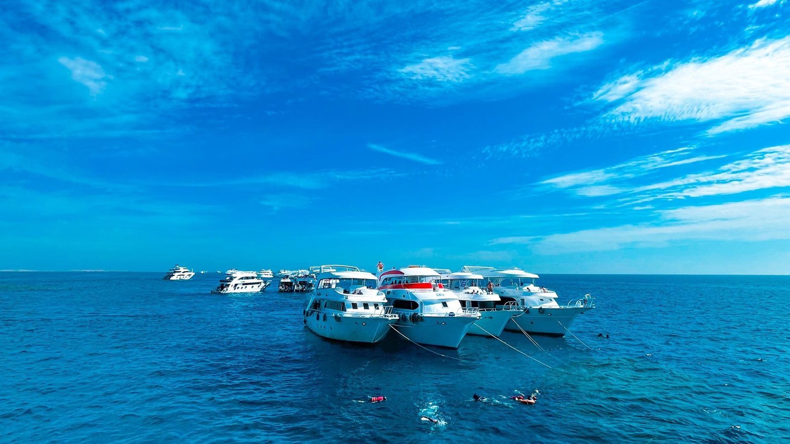 Ras Mohamed travel (3)