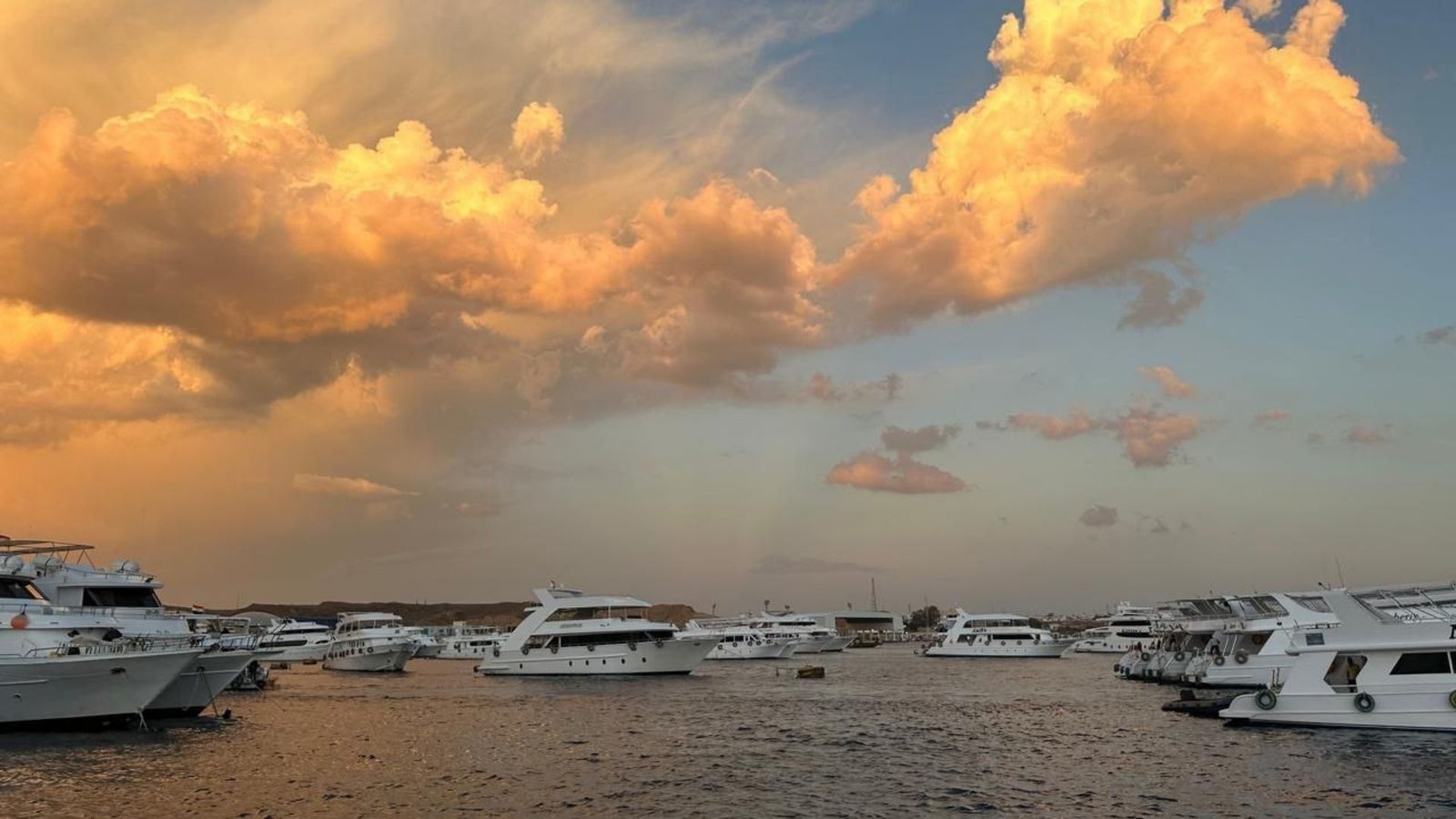 Ras Mohamed travel (8)