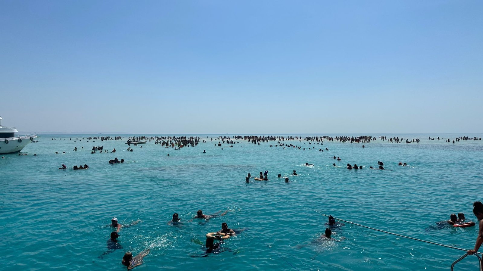 Ras Mohammed White Island Shrmers (5)