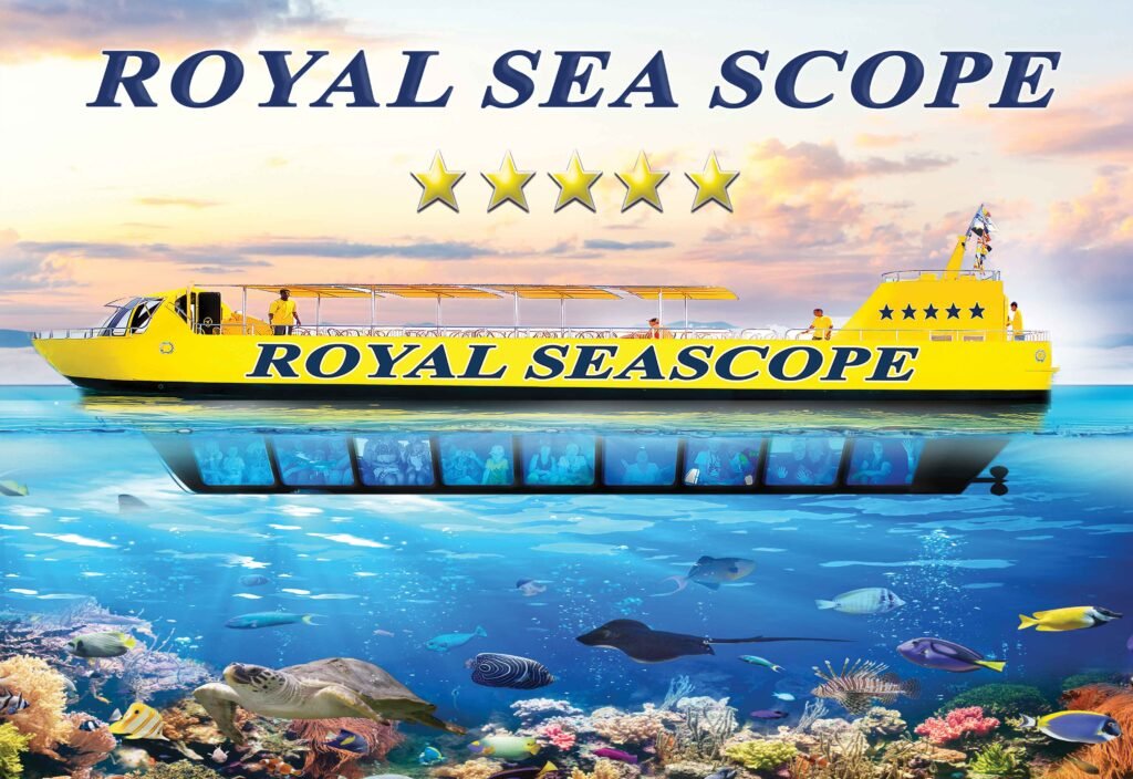 Sic tour Sub Marine Excursions in sharm (1)