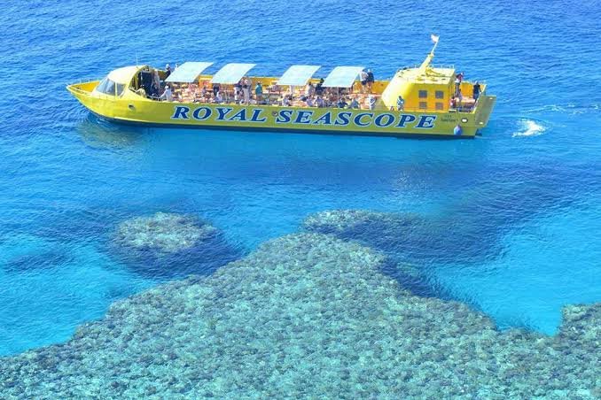 Sic tour Sub Marine Excursions in sharm (1)