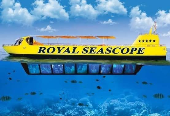 Sic tour Sub Marine Excursions in sharm (2)