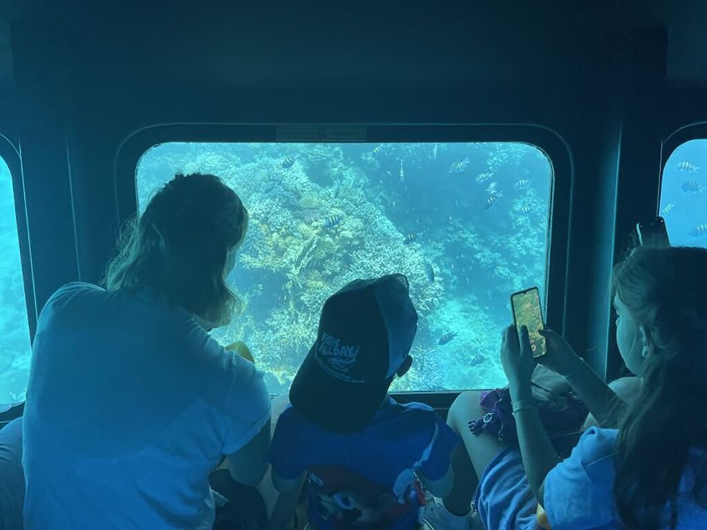 Sic tour Sub Marine Excursions in sharm (3)