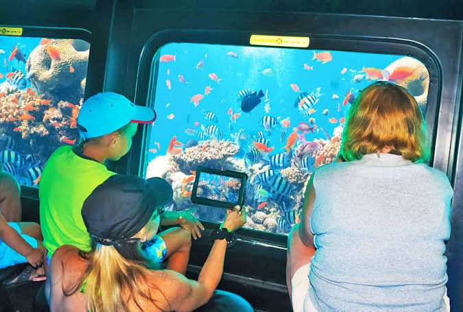 Sic tour Sub Marine Excursions in sharm (3)