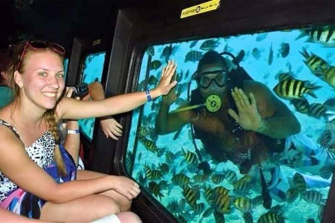 Sic tour Sub Marine Excursions in sharm (4)