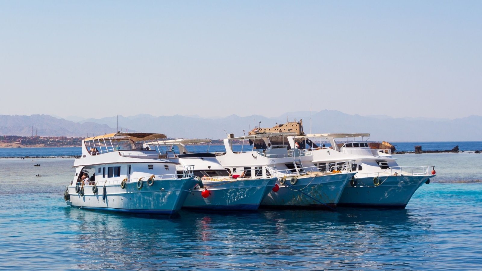 Tiran Island Sharmers Tours (10)