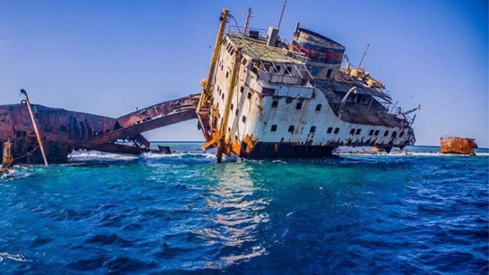 Tiran Island Sharmers Tours (2)
