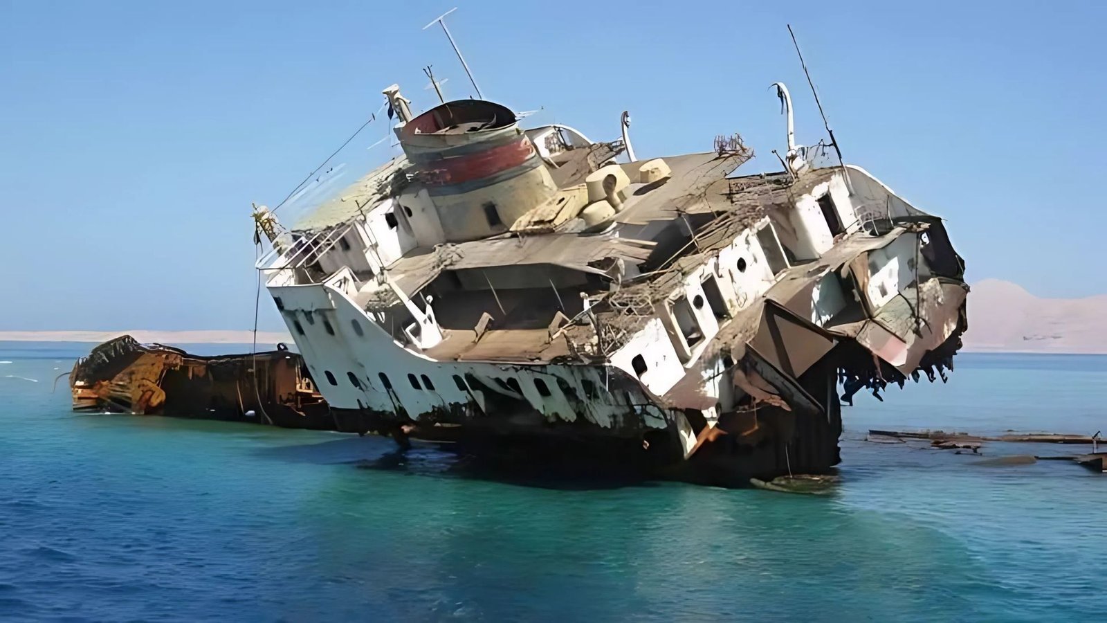 Tiran Island Sharmers Tours (5)