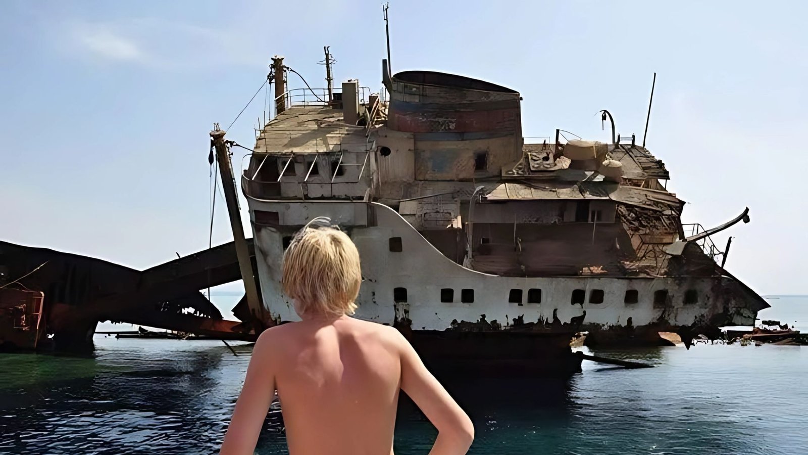 Tiran Island Sharmers Tours (6)