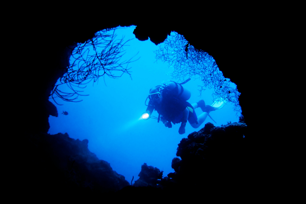 Deep Diver (5)