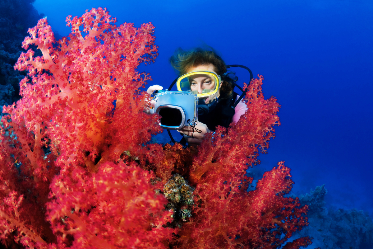 Digital Underwater Photographer (3)