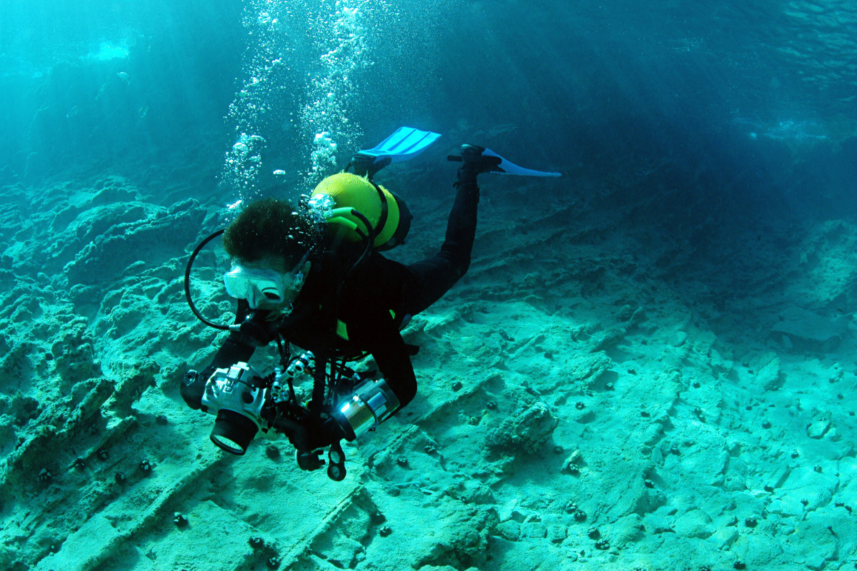 Digital Underwater Photographer (4)