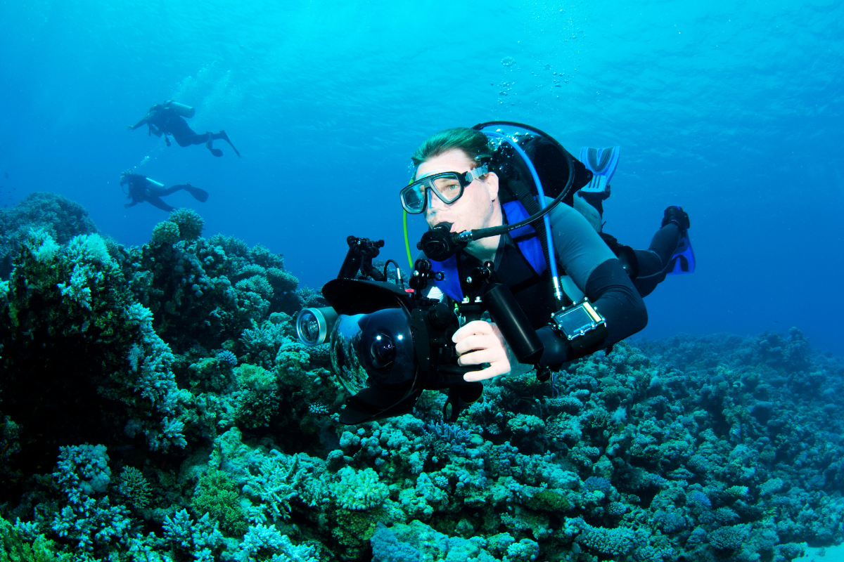 Digital Underwater Photographer