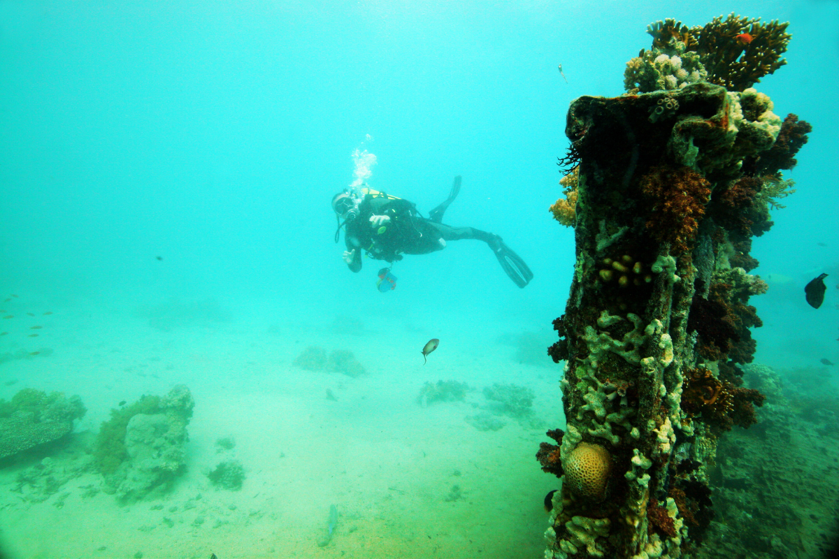 Wreck Diver (2)