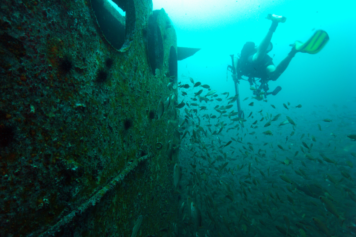 Wreck Diver (4)